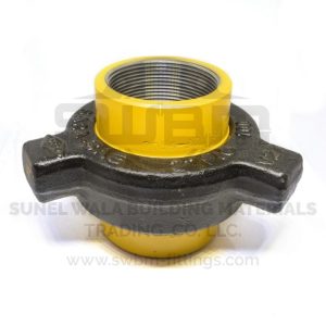 Hammer Union