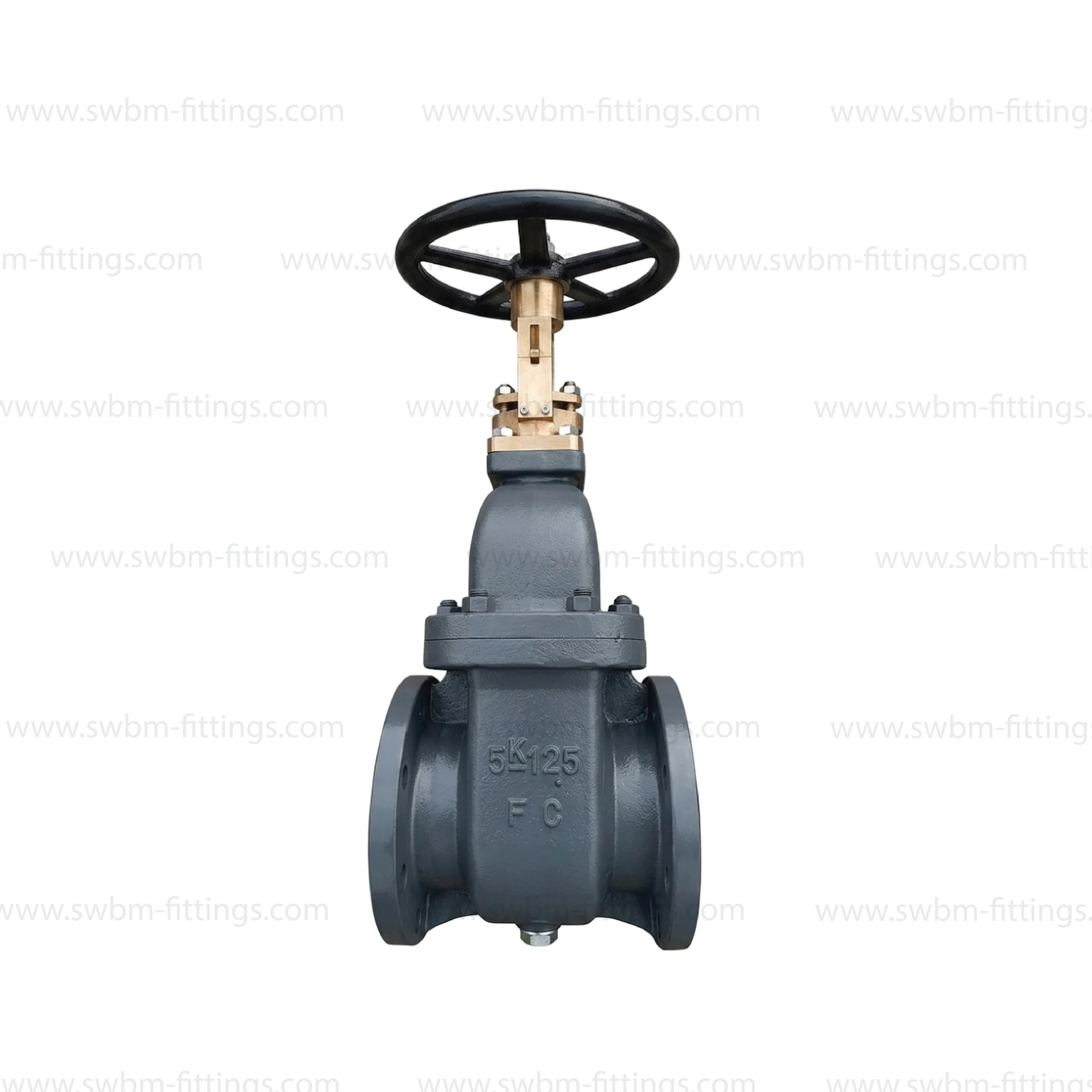 CI GATE VALVE FLANGE TYPE JIS 5K