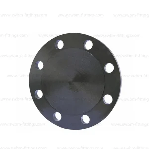 CS Forged A105 Blind RF Class 1500