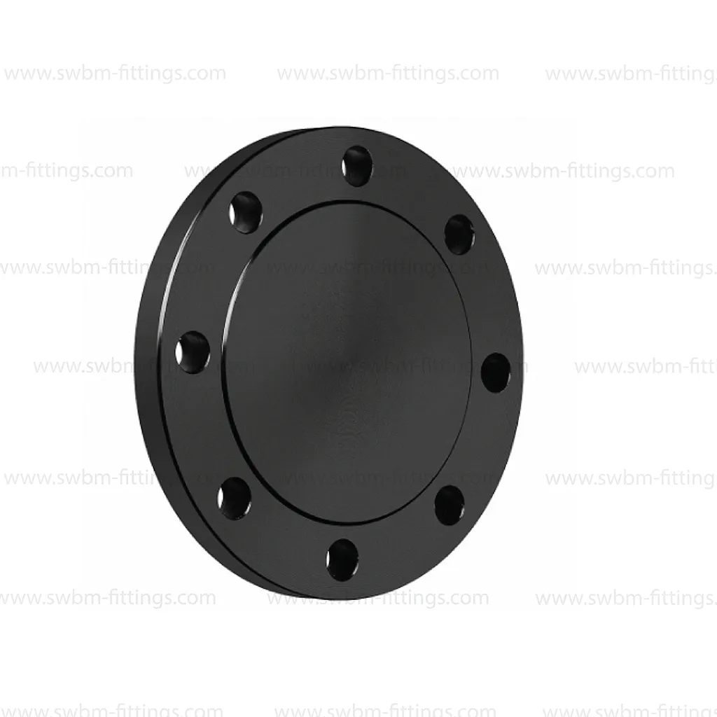 CS Forged A105 Blind RF Class 150