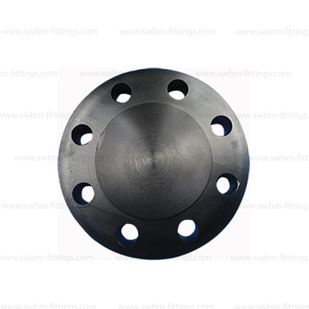 CS Forged A105 Blind RF Class 300