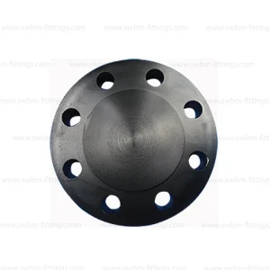 CS Forged A105 Blind RF Class 600