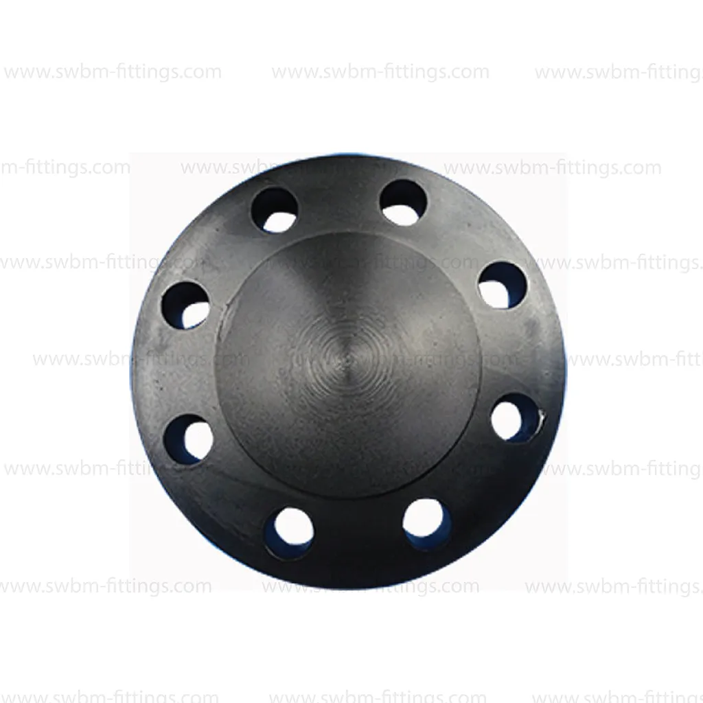 CS Forged A105 Blind RF Class 600