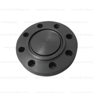 CS Forged A105 Blind RTJ Class 1500