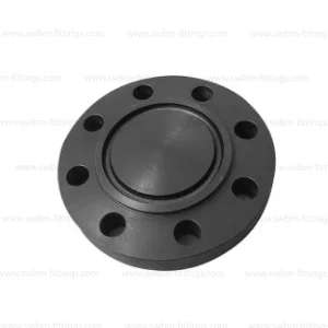 CS Forged A105 Blind RTJ Class 2500