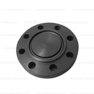 CS Forged A105 Blind RTJ Class 900