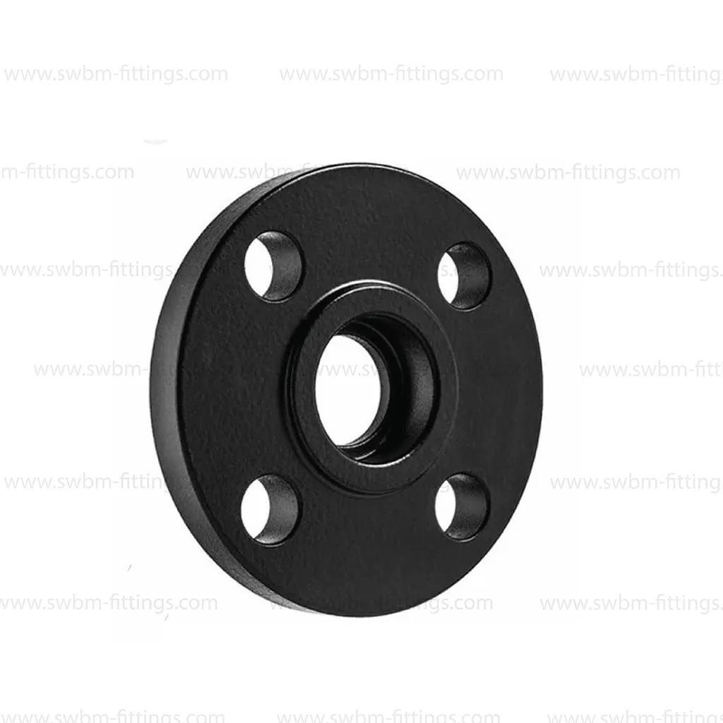 CS FORGED A105 SOCKET-WELD RF CLASS 300 SCH.80