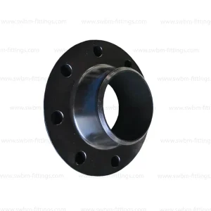 CS FORGED A105 WELDNECK RF PN16