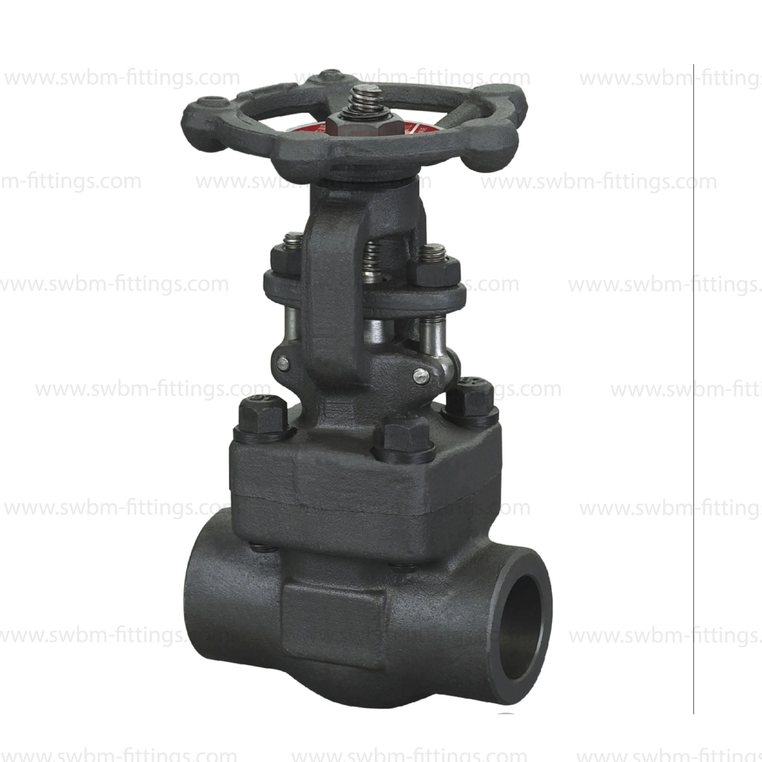 cs-forged-gate-valve-cl1500-uae