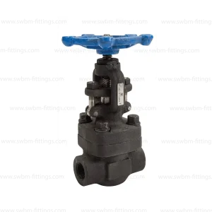 CS FORGED GLOBE VALVE CL800