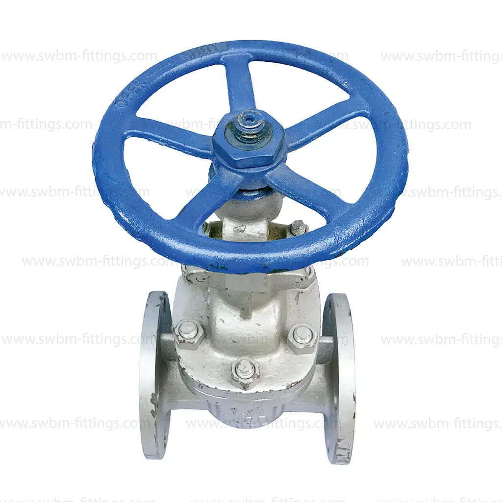 CS GATE VALVE FLANGE TYPE CL150 - Image 2