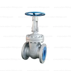 cs-gate-valve-flange-type-cl300-uae