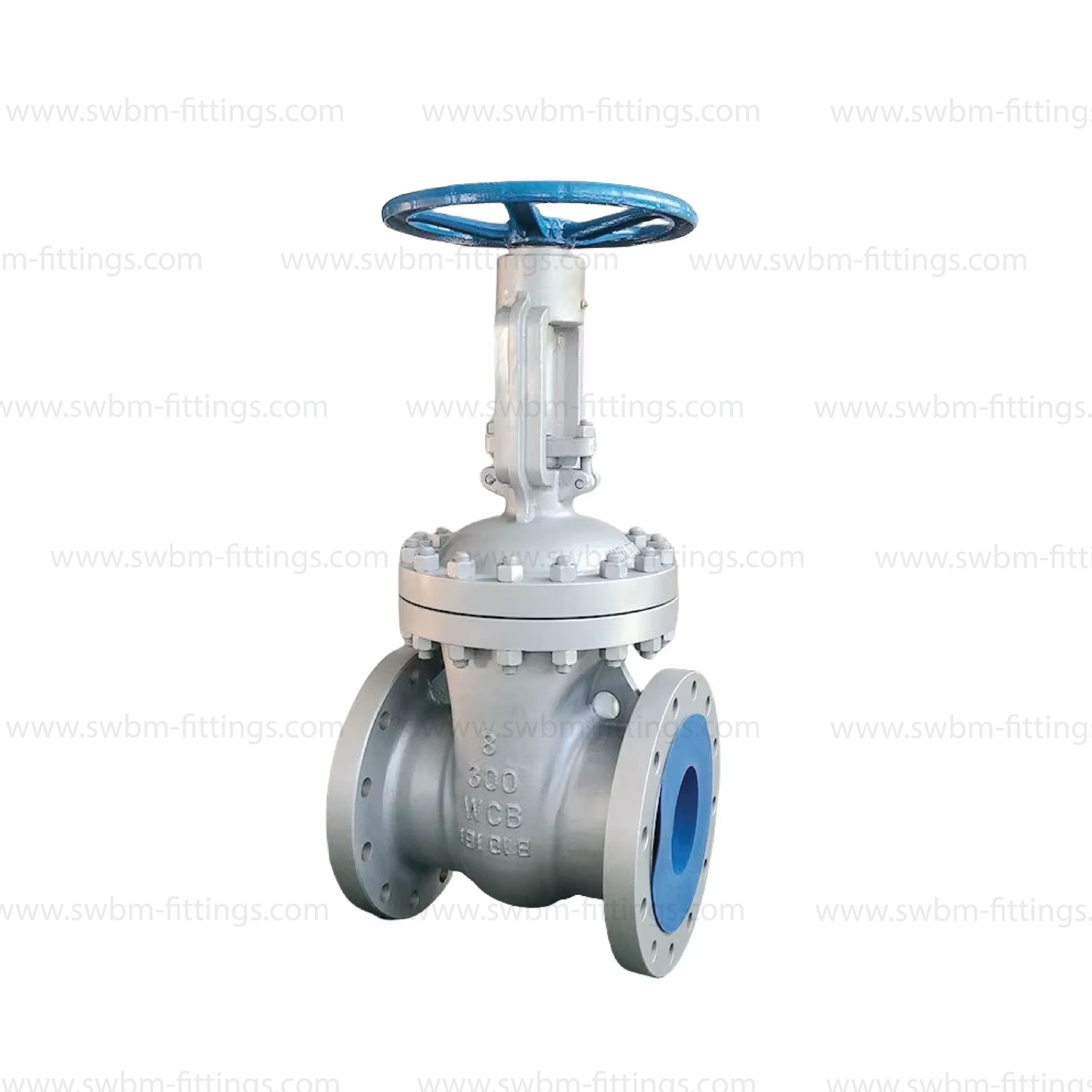 cs-gate-valve-flange-type-cl300-uae