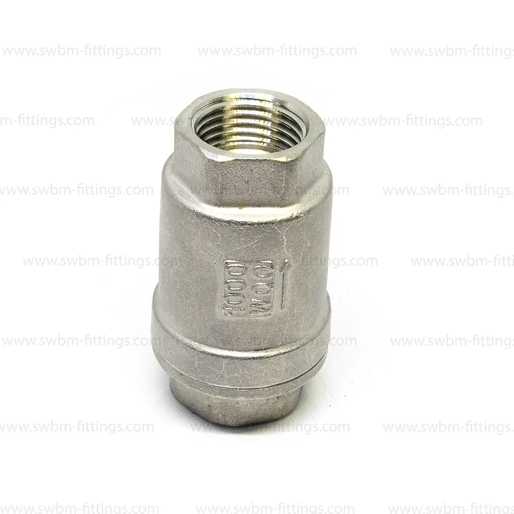 ss-vertical-check-valve-in-uae