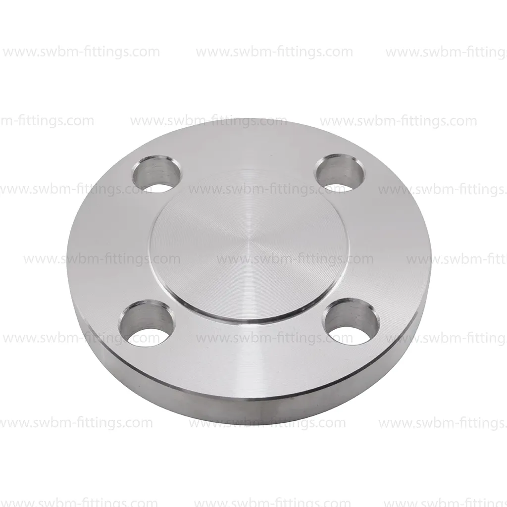 SS316 BLIND FLANGE RF CLASS 600