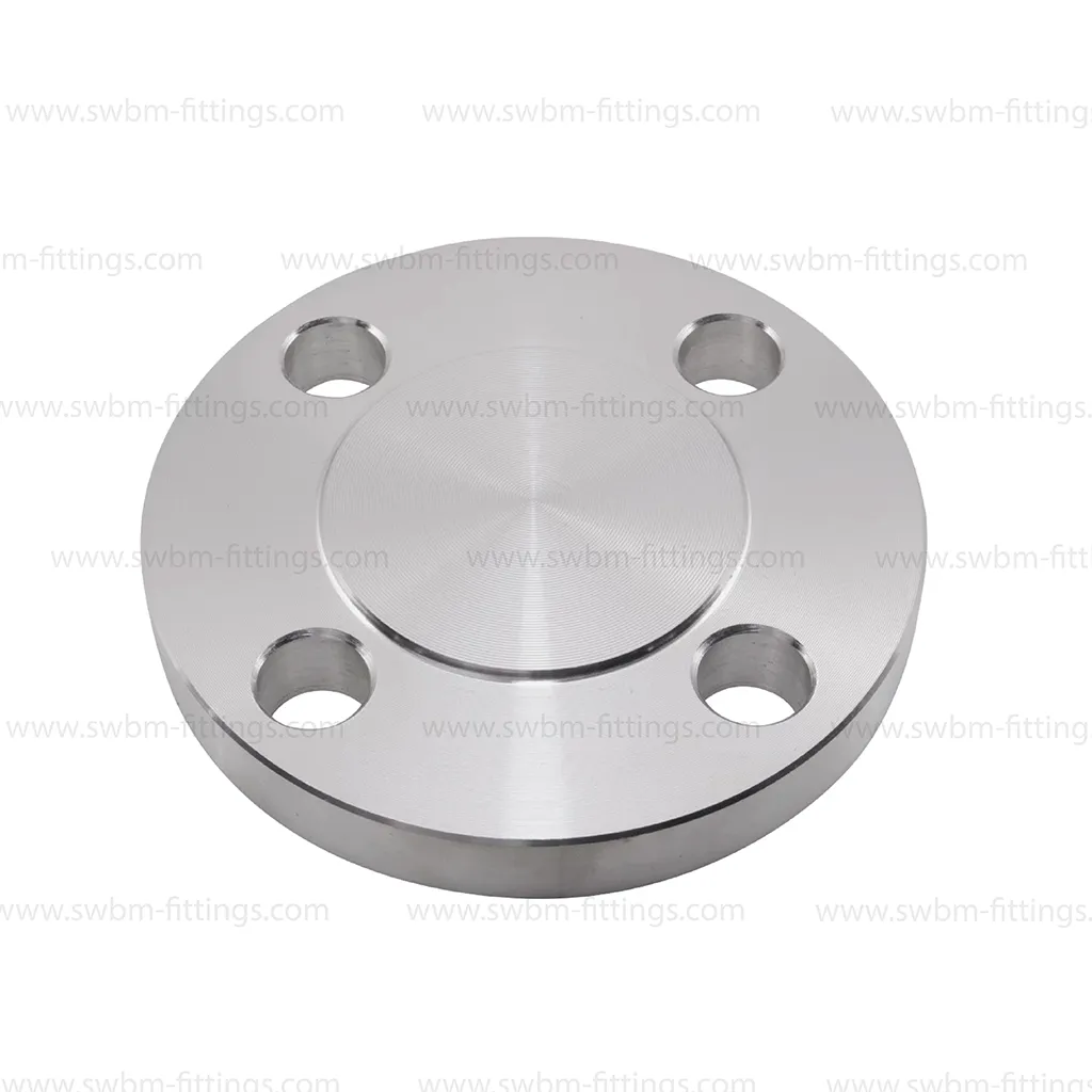 SS316 BLIND FLANGE RF CLASS 900/1500