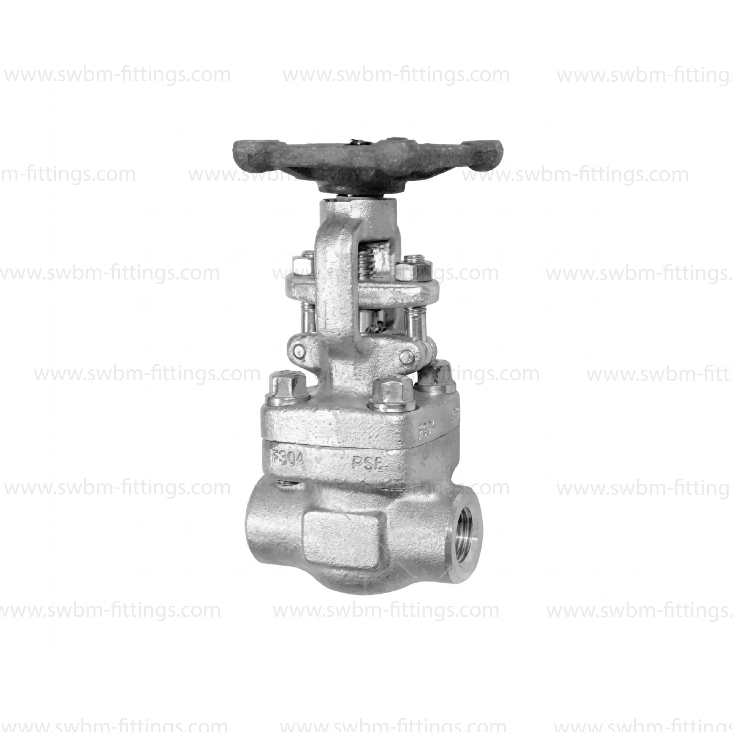 ss316-forged-gate-valve-cl800-in-uae