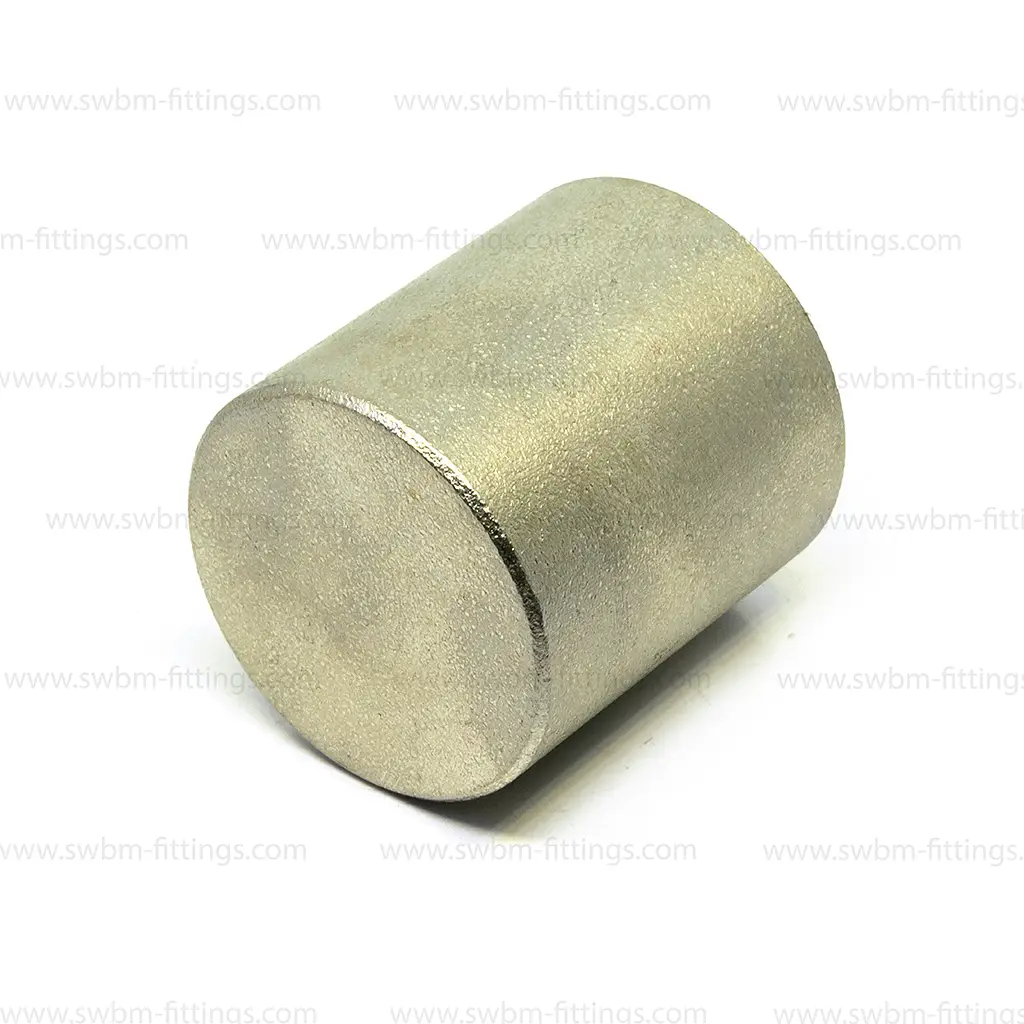 SS316L 3000 PSI CAP - THREADED - Image 2